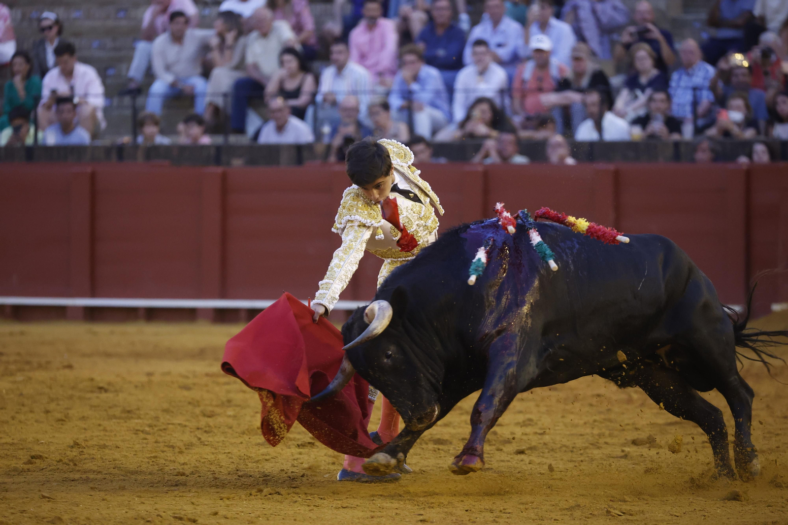 Las imágenes de la novillada en la Maestranza