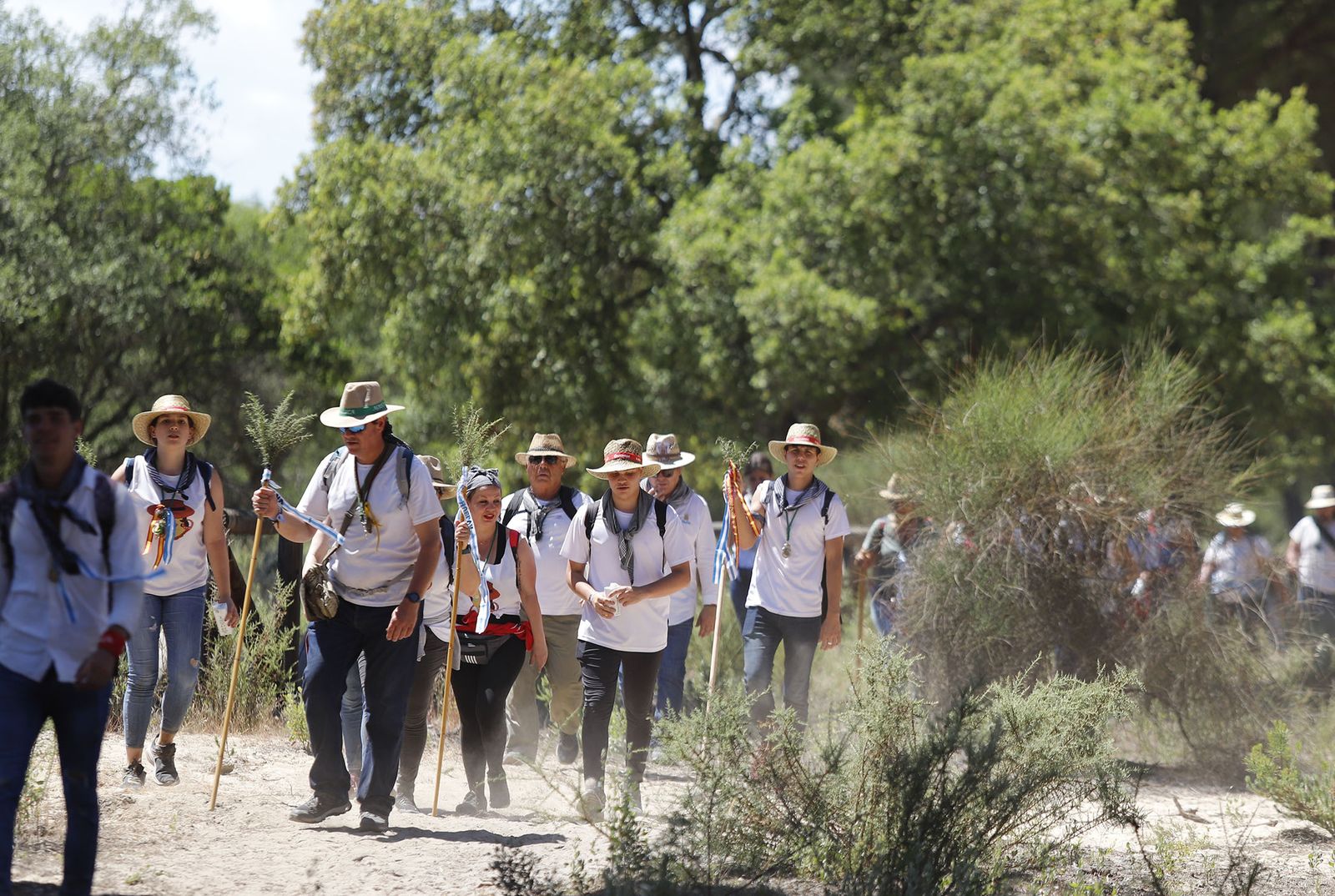 Todos los peregrinos de la Hermandad de Huelva, en imágenes