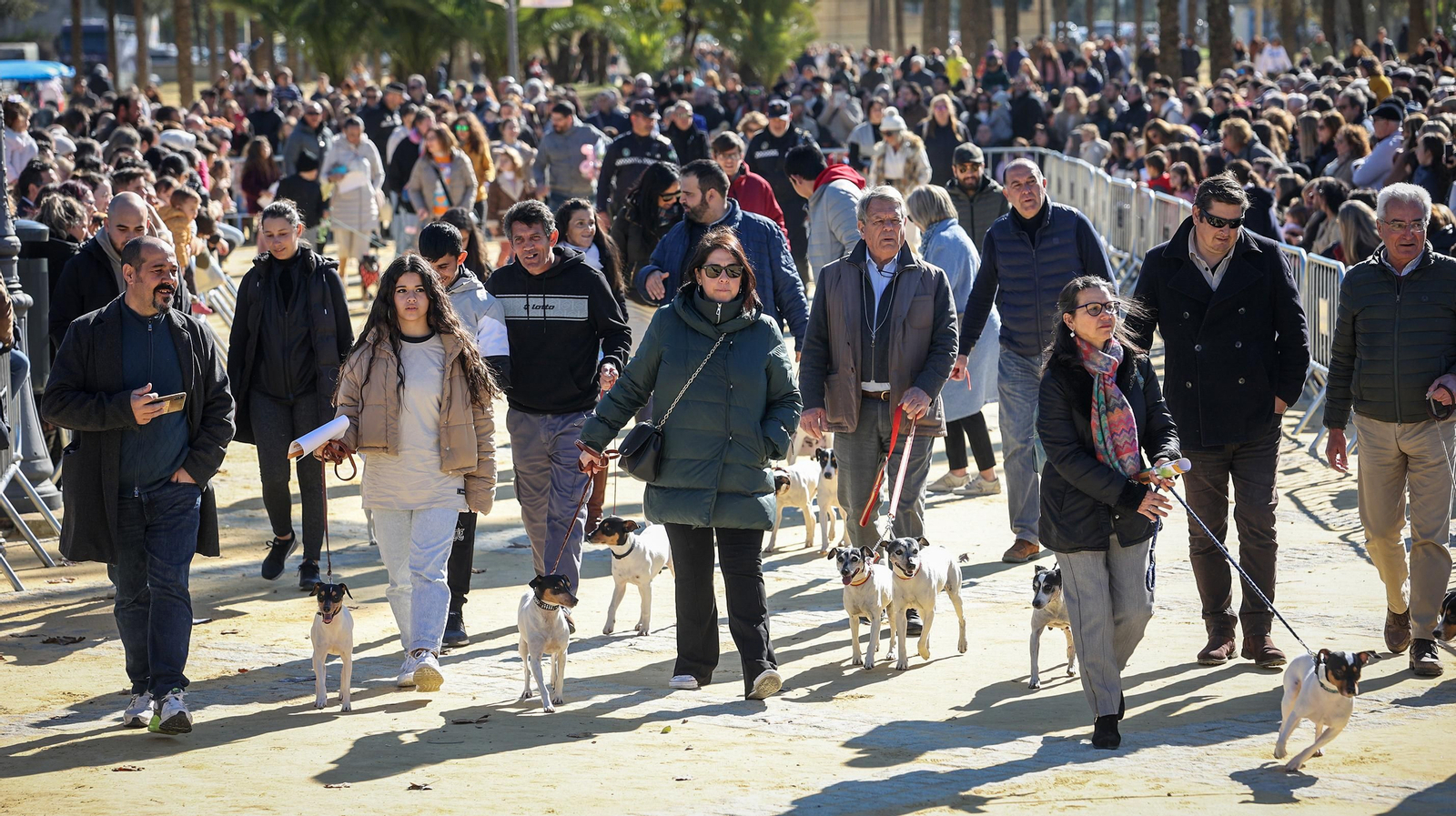 Búscate en San Antón de Jerez