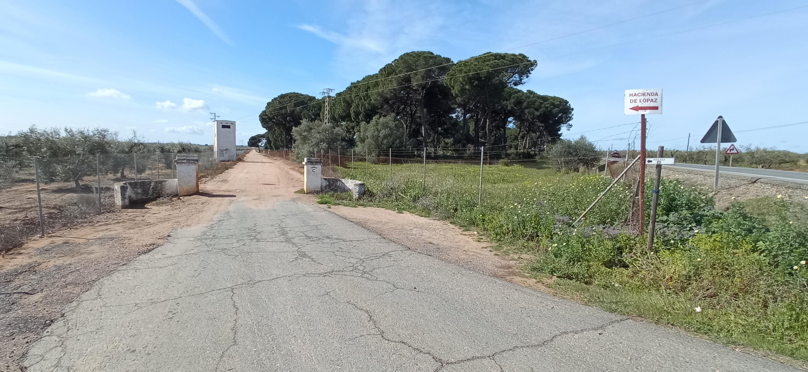 Las imágenes de la Ruta Azul en Bollullos de la Mitación