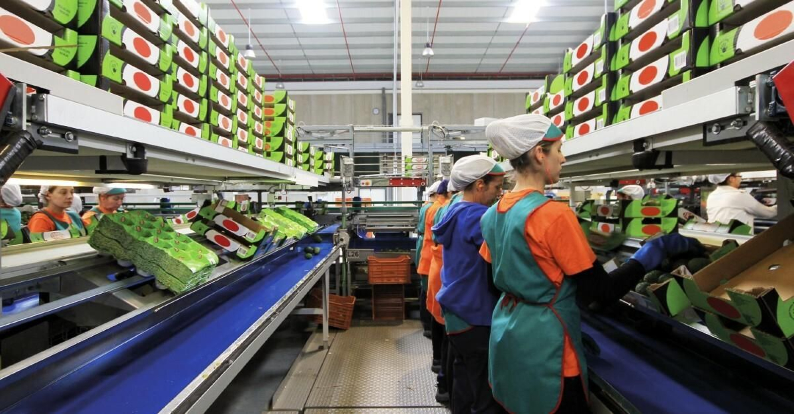 Hispatec recuerda que ERPagro es la solución líder para las empresas del sector agroalimentario.