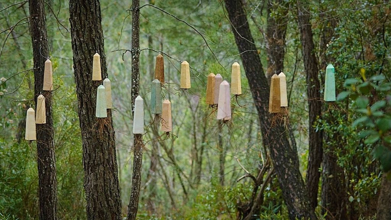 Original puesta en escena del proyecto de 'Valdearte'.