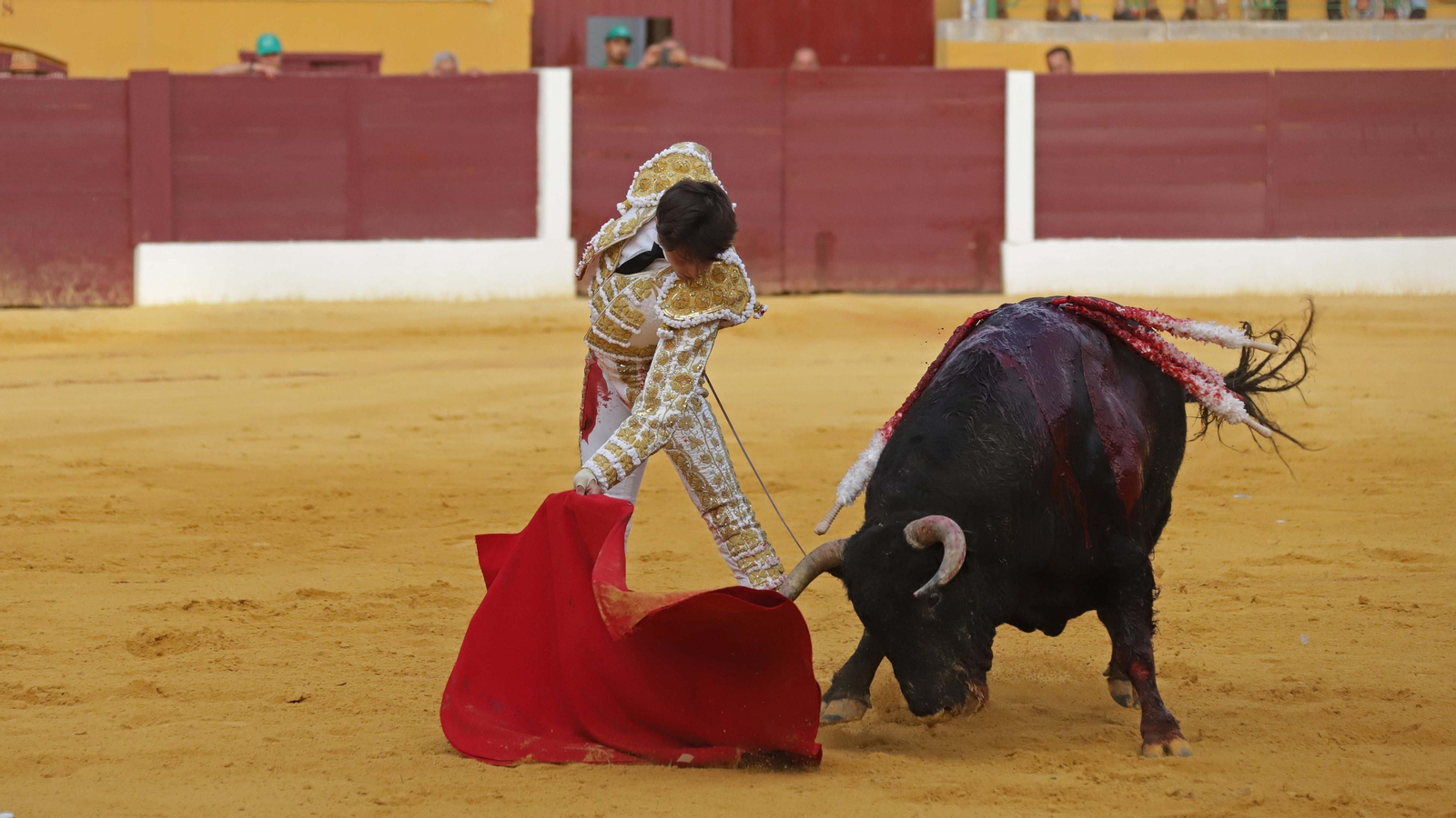 Fotos de la corrida del jueves de la Feria de La Línea: Diego Ventura, José María Manzanares y Roca Rey