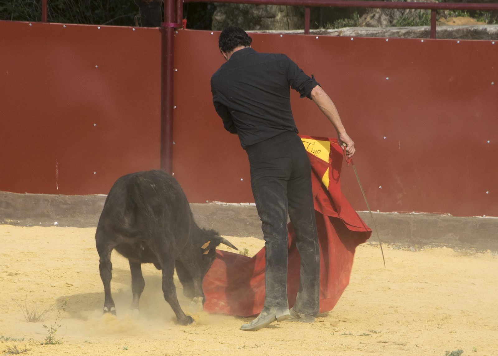 Finito de Córdoba, en un tentadero en la Sierra, en imágenes