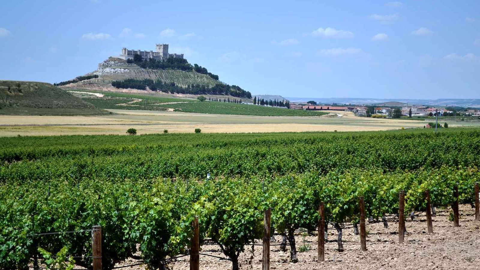 Ribera del Duero.