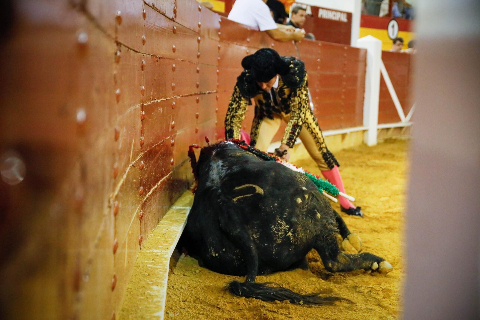 Imágenes de la corrida de toros en Roquetas de Mar