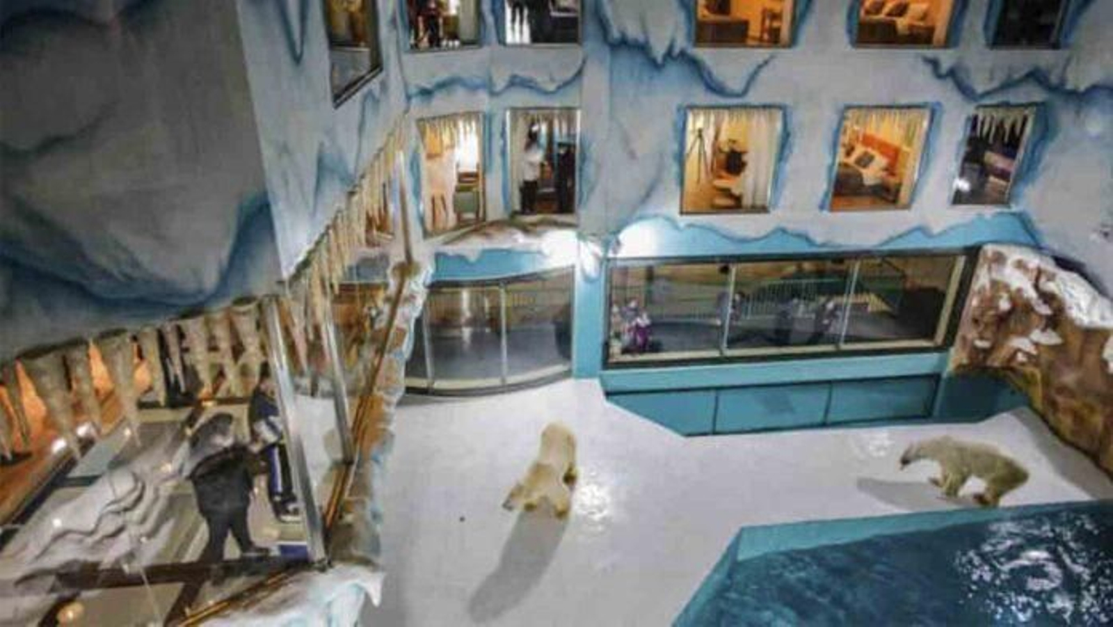 Inauguran un hotel con osos polares para entretener a los huéspedes