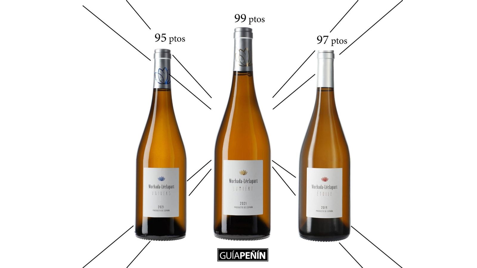 Los tres vinos de Muchada-Léclapart con grandes puntuaciones en la Guía Peñín