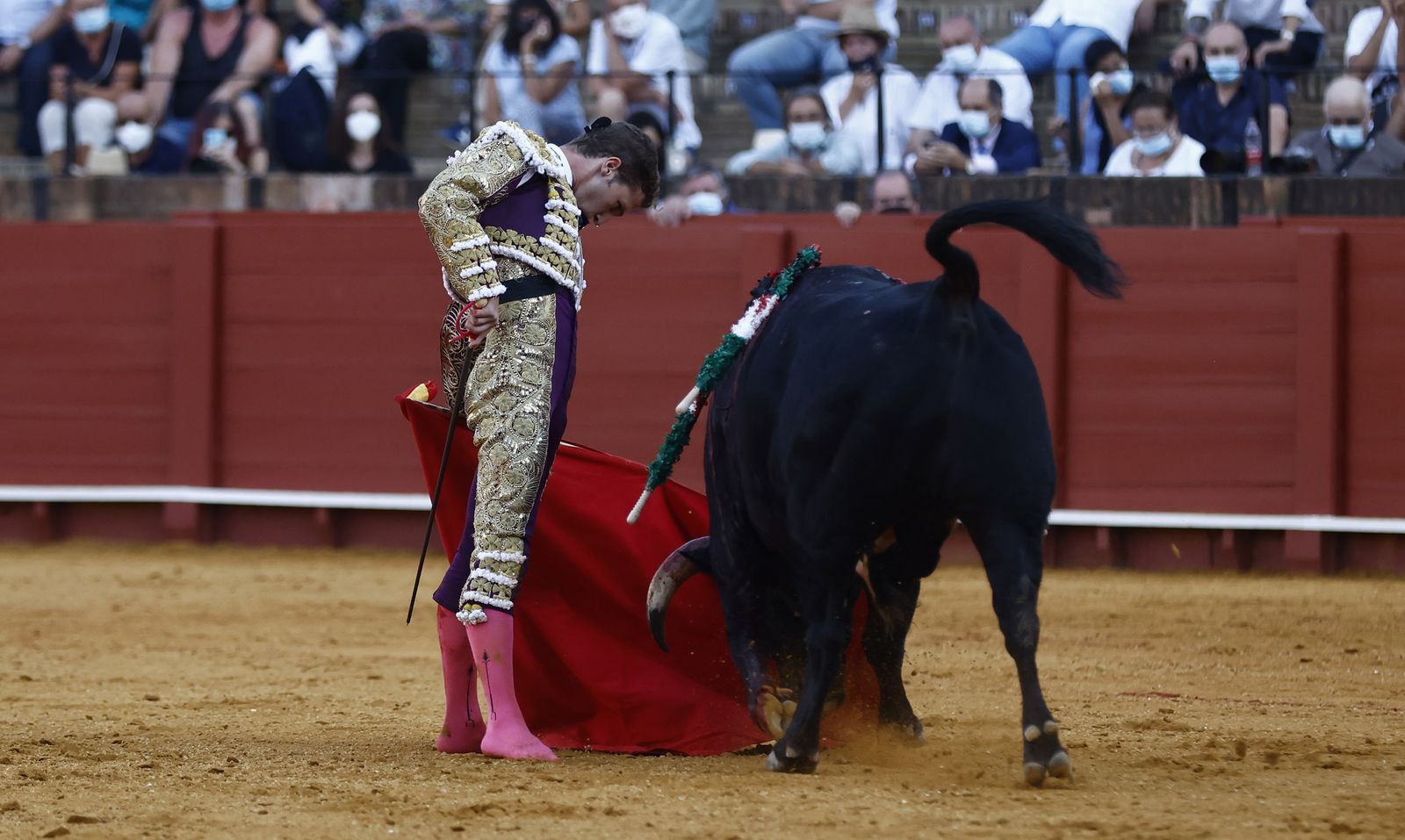 Fotos de la segunda novillada de la feria de San Miguel de Sevilla