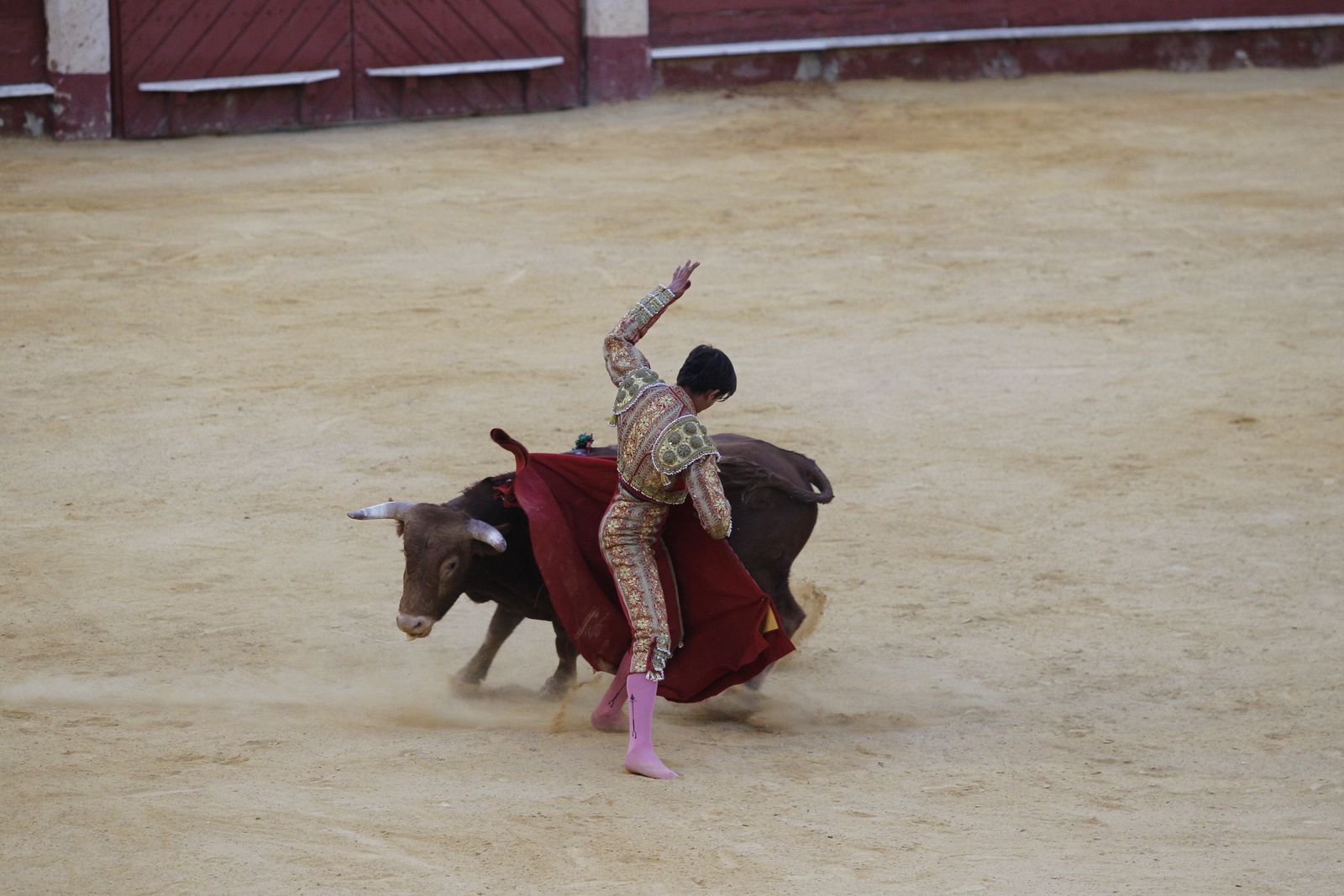 Fotogalería novillada Escuela Taurina de Almería. Feria de Almería 2019