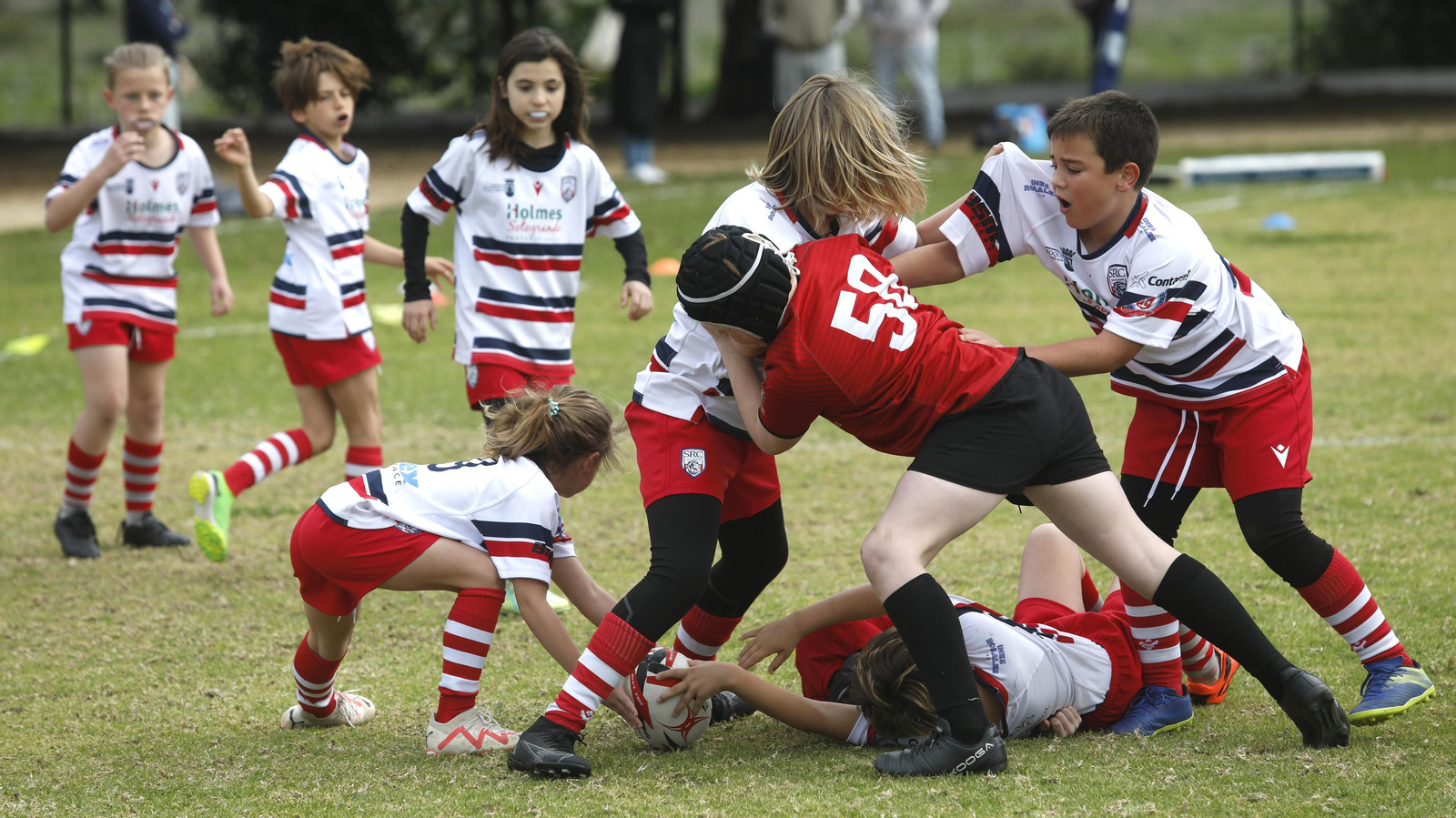 Las fotos de la Jornada de escuelas de rugby en Pueblo Nuevo de Guadiaro