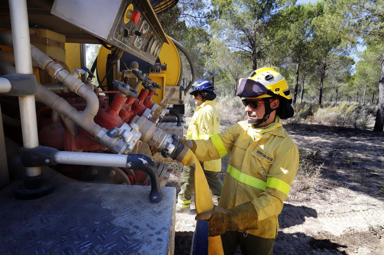 Imágenes de las zonas afectadas por los incendios de Almonte y Bonares