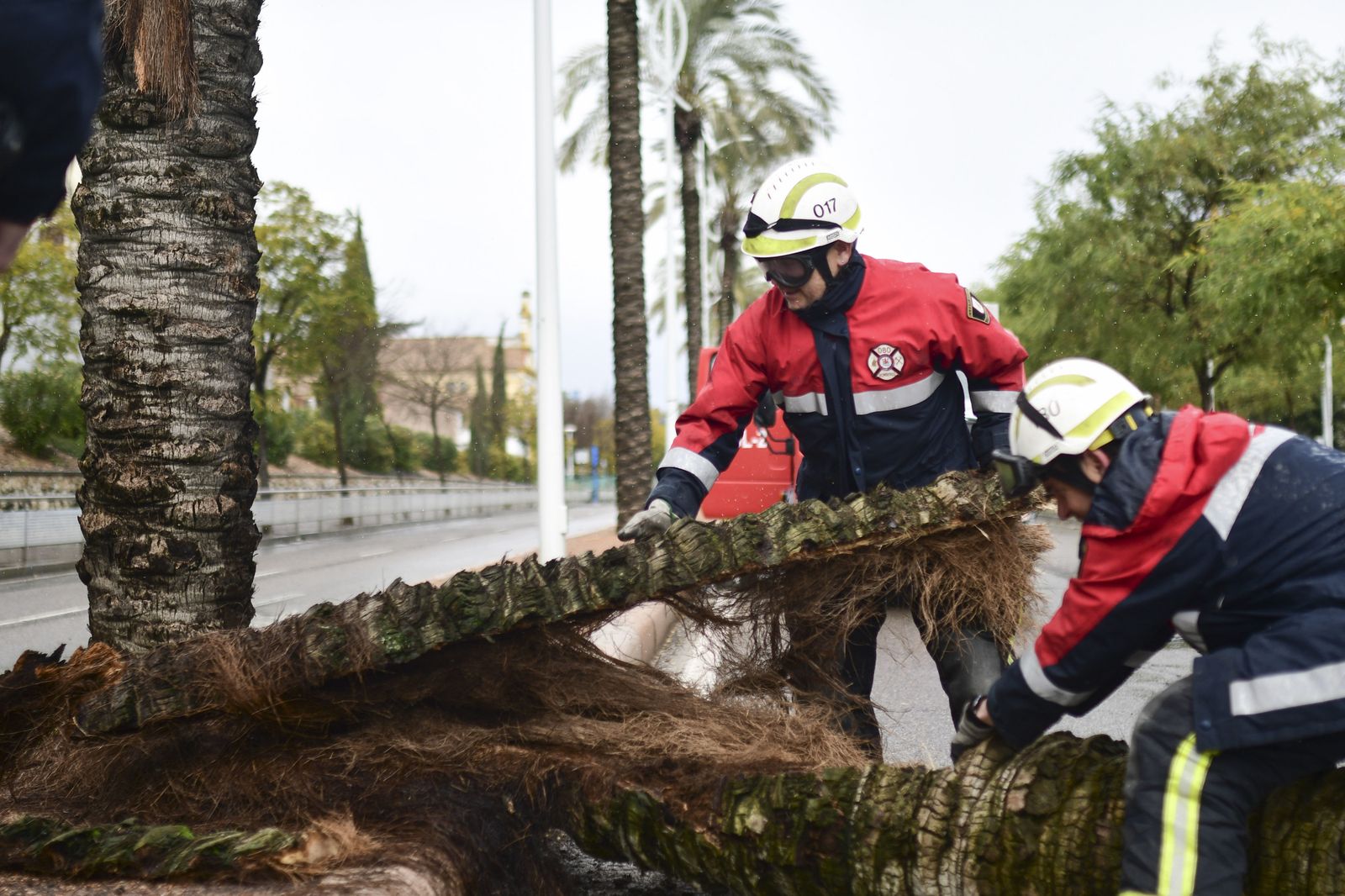 Los Bomberos intervienen en más de 16 incidencias por el temporal de viento y lluvia