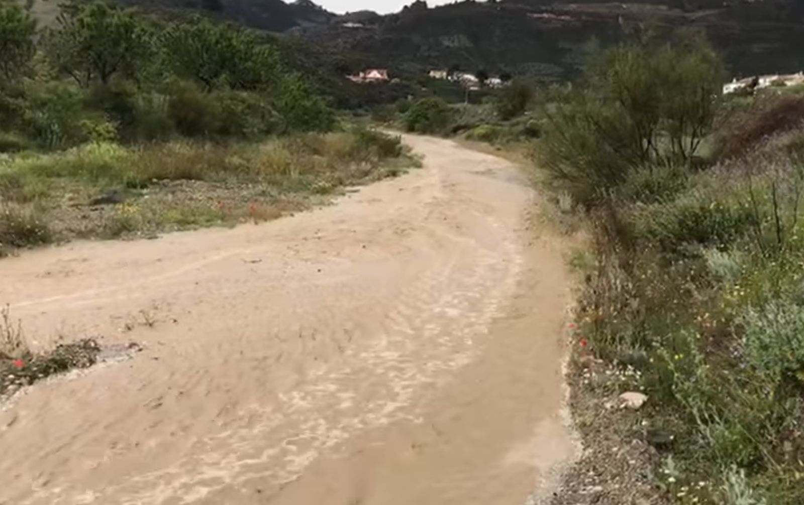 La Rambla del Saliente de Albox ha vuelto a salir.
