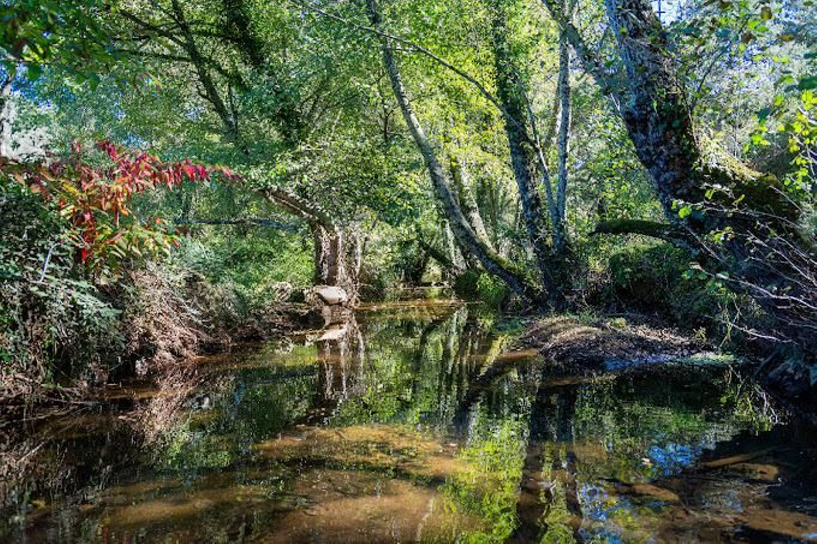 El primer pueblo 'Nordic Walking' de Andalucía está en Huelva