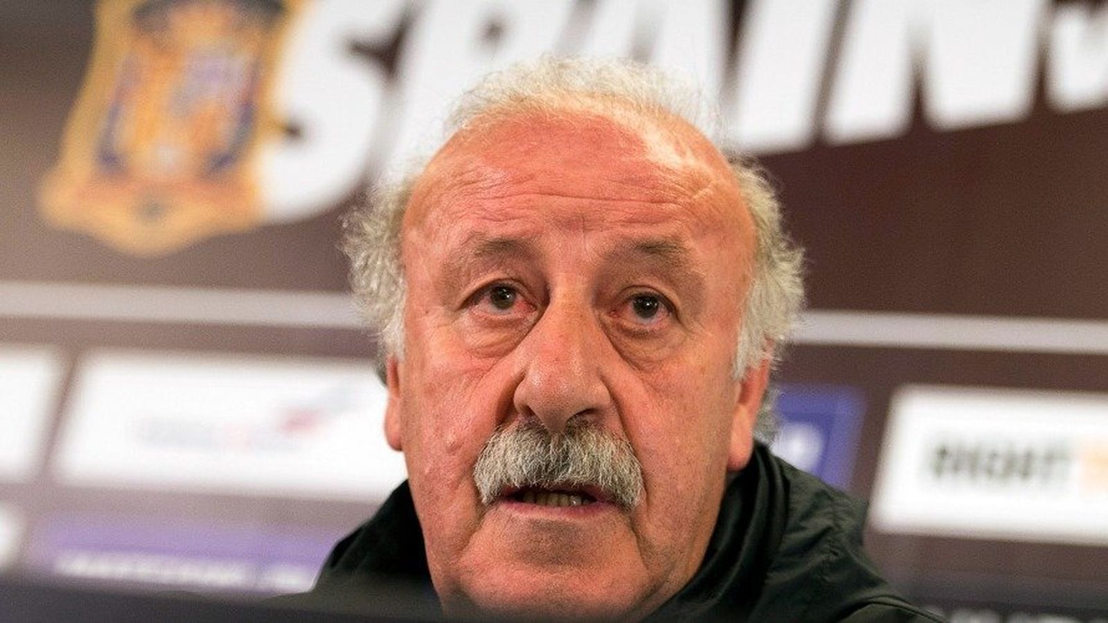 Vicente Del Bosque