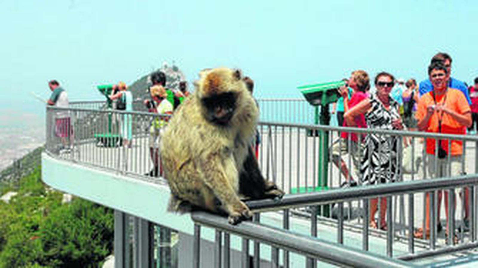 Los turistas disfrutan de las vistas y de los monos, célebres habitantes del Peñón.