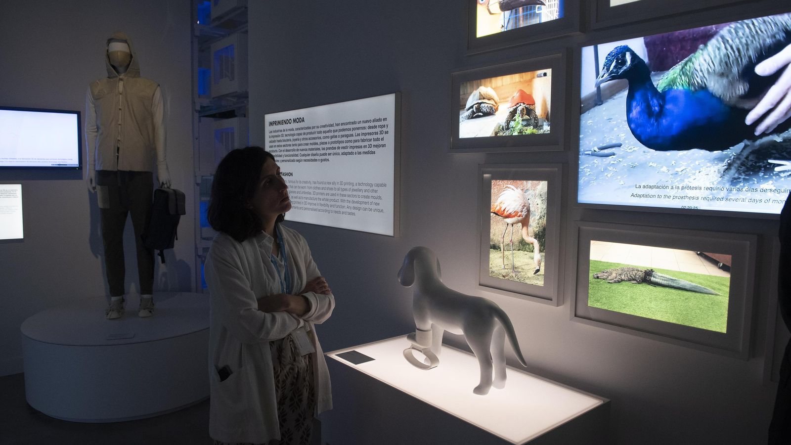 La impresión 3D genera prótesis para mascotas y humanos.