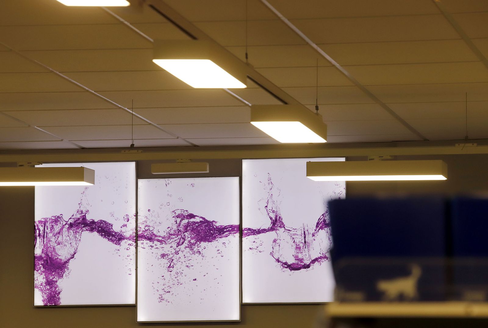 Imágenes de las mejoras del Mercadona de La Palma del Condado para el ahorro energético