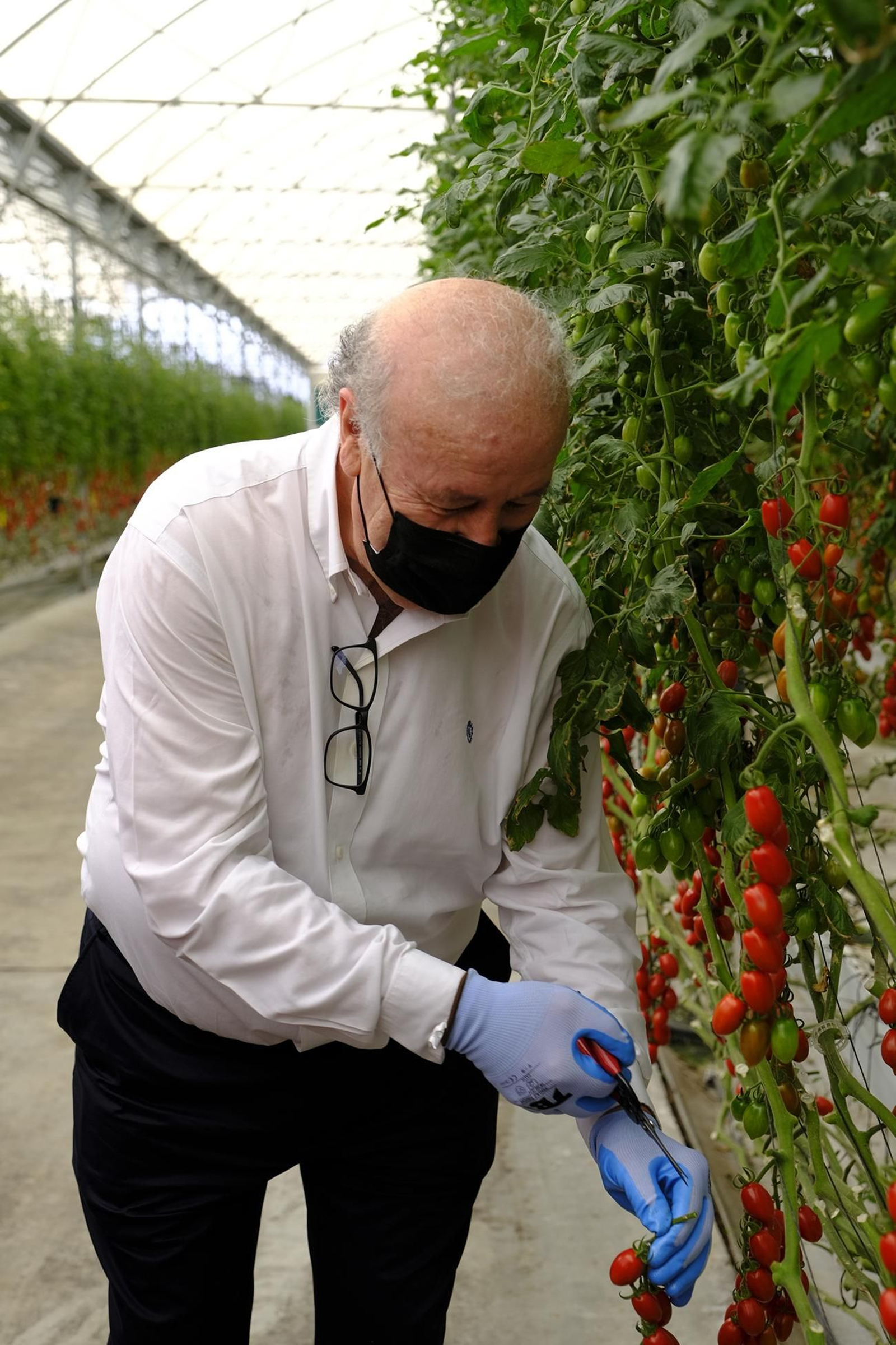 Fotogalería de la visita de Vicente del Bosque a Grupo Caparrós.