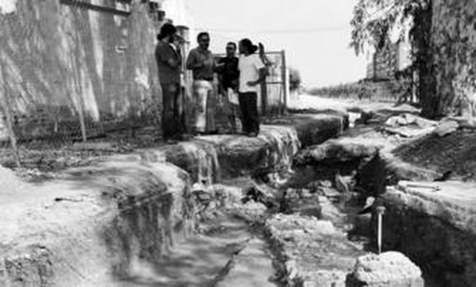 El 'homus' del Tamarguillo