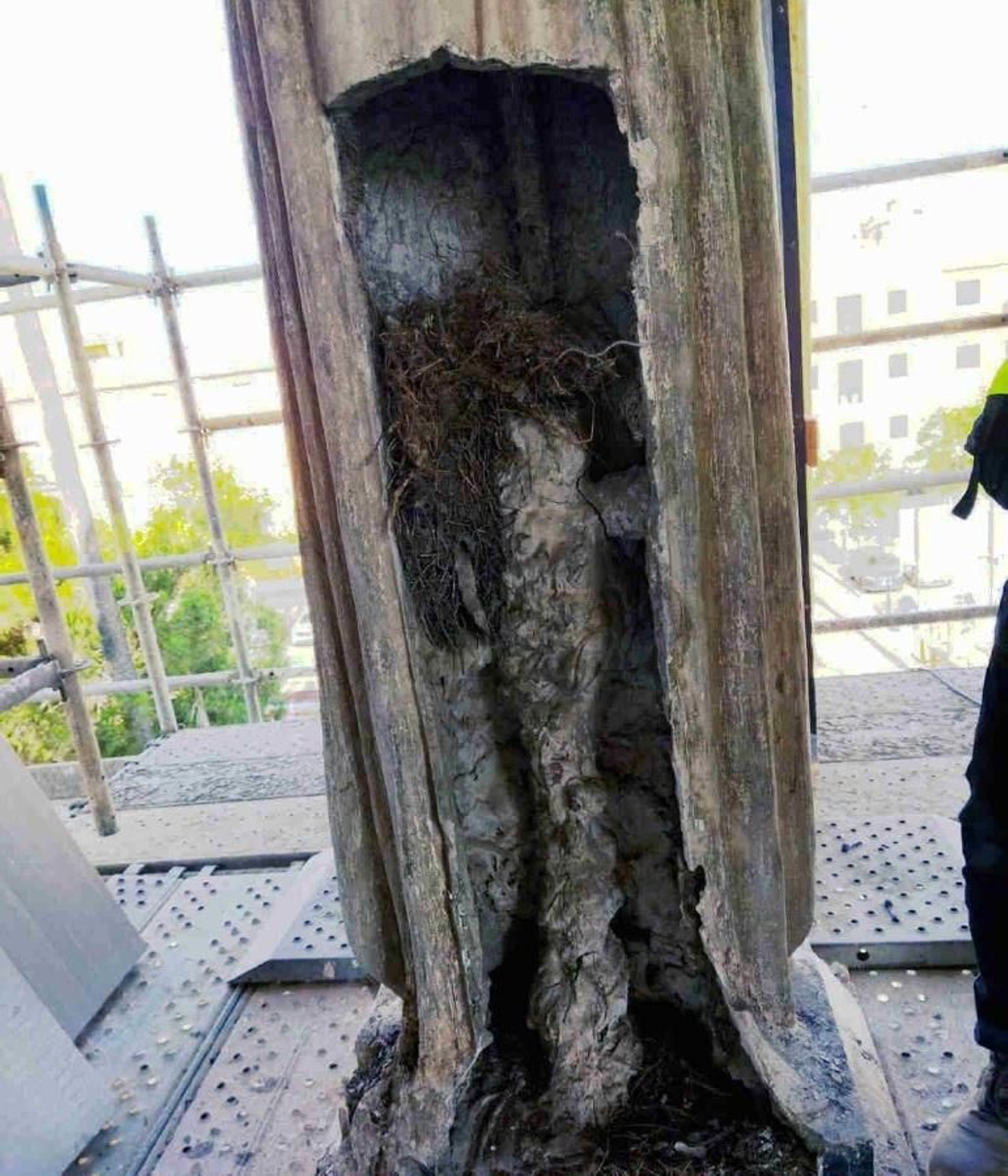 Estado de conservación de la imagen.