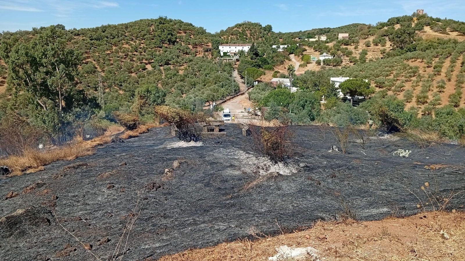 Vista parcial de la ladera quemada en el incendio de Constantina.