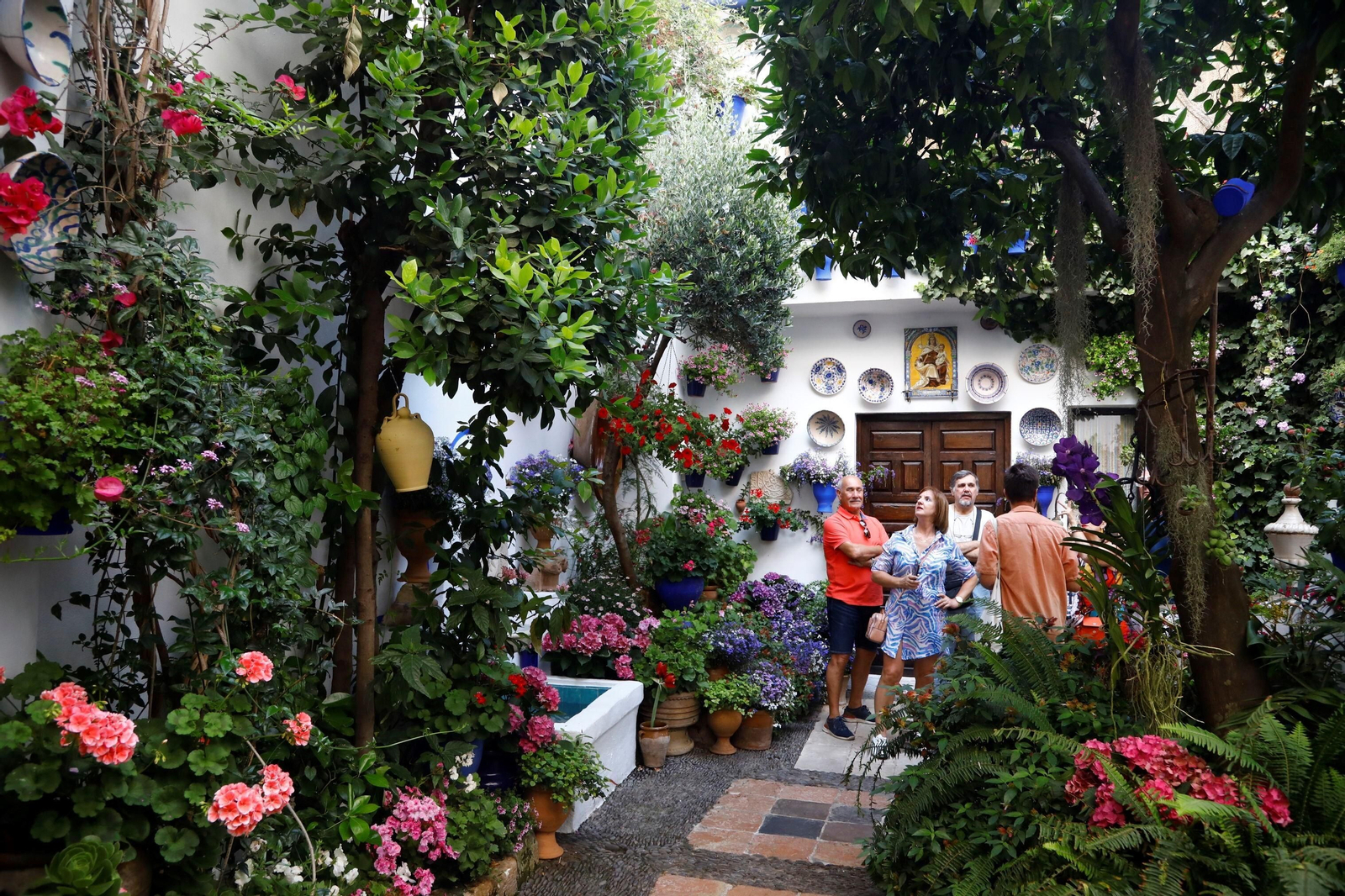 Los ganadores del Concurso de Patios de Córdoba 2023, en imágenes