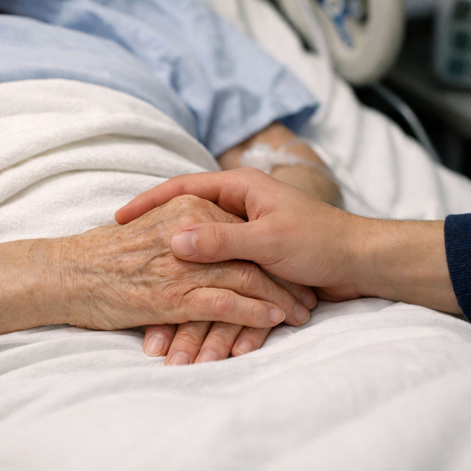 Imagen remitida por la Universidad de Granada.