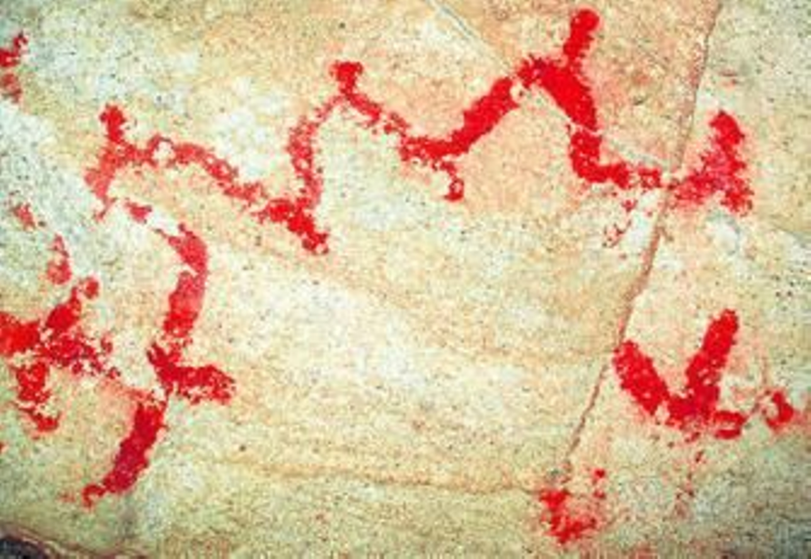 Imagen del abrigo Laurel II.