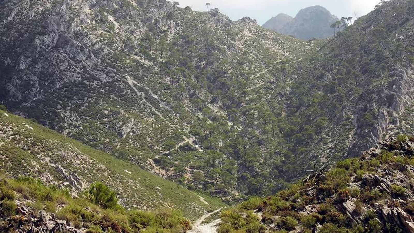 Los senderos del Lucero desde la subida al Collado de los Hornillos.