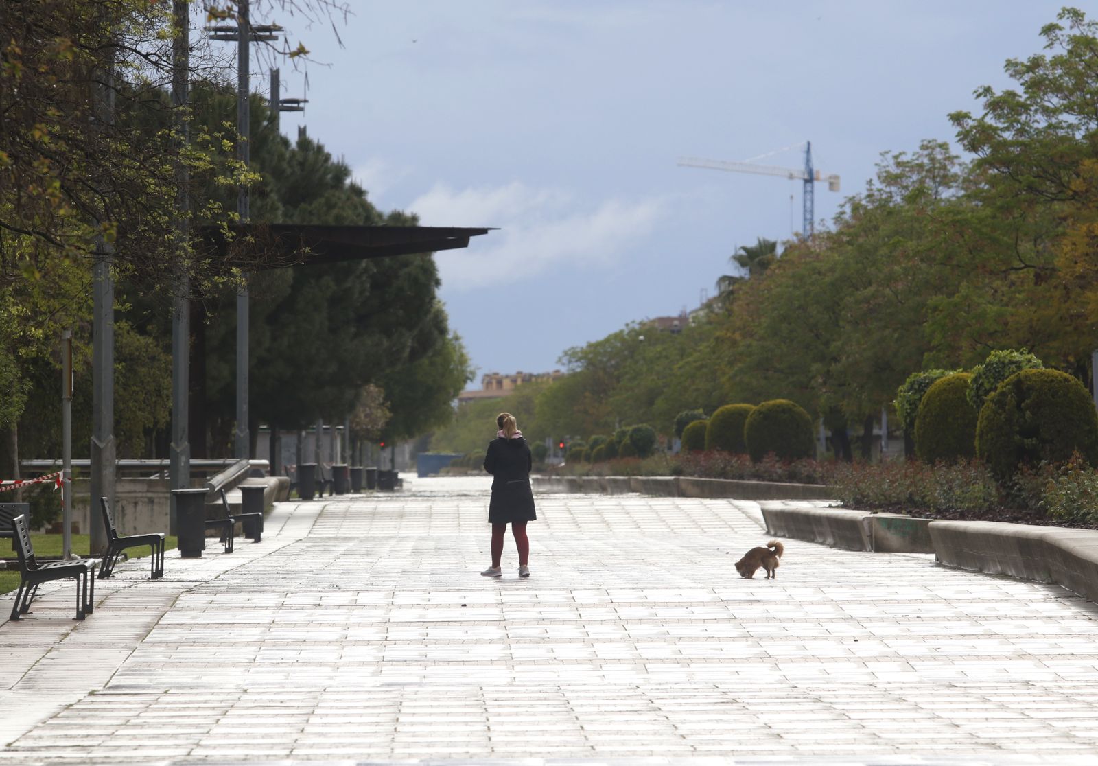 Coronavirus en Córdoba: Las fotos de una ciudad vacía