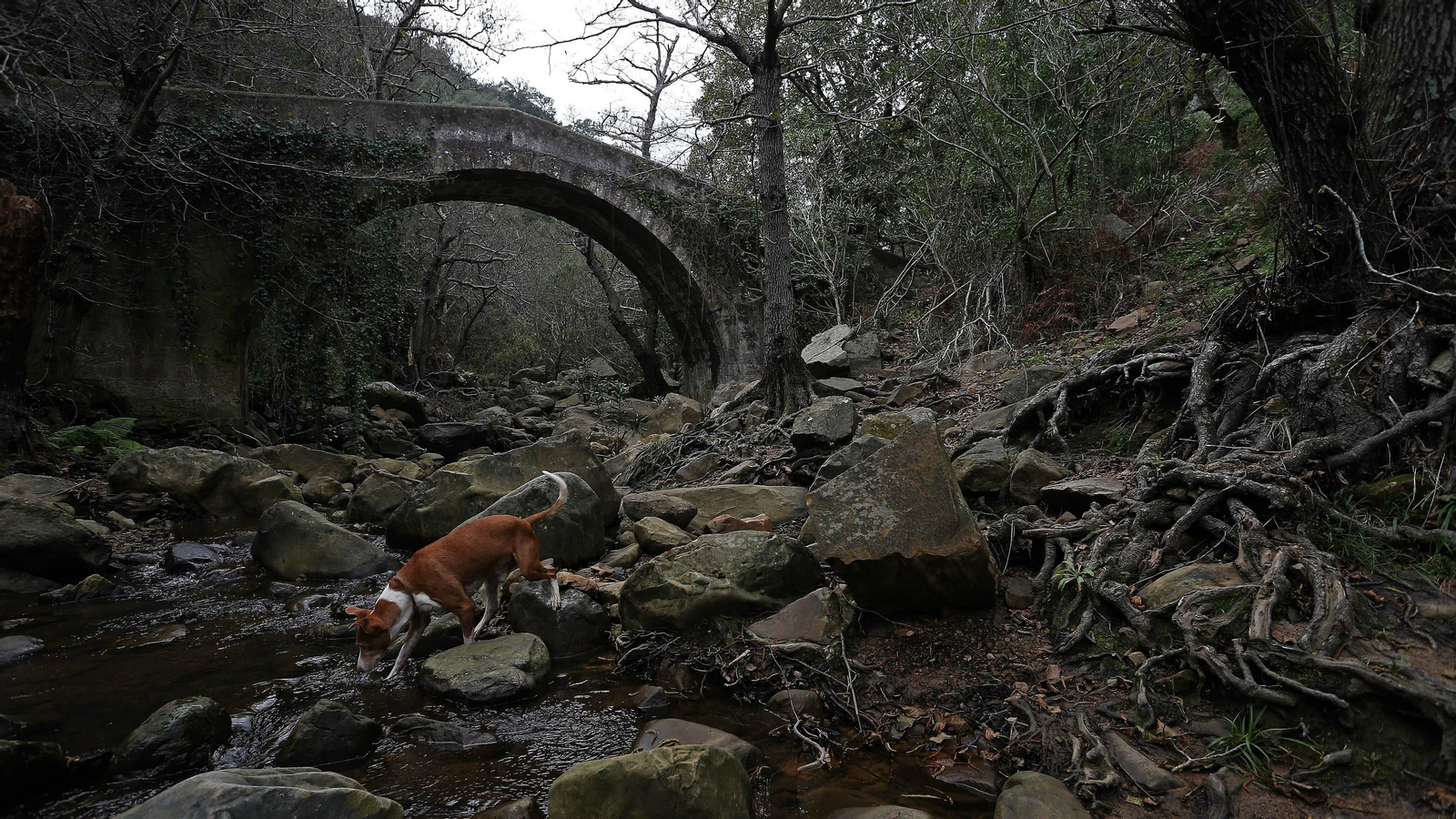 Las mejores fotos del sendero del Río de la Miel