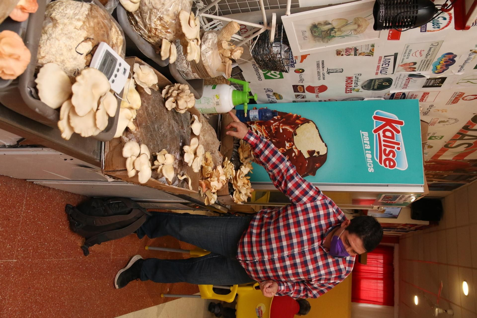 Fotogalería del Reino de las Setas