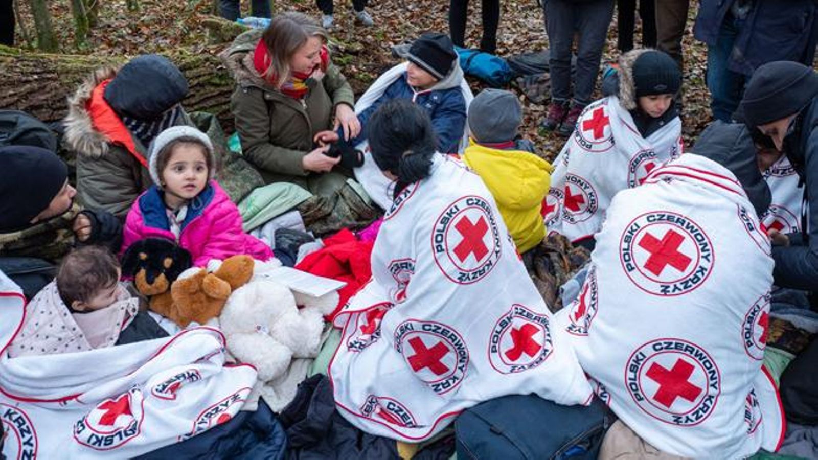 Migrantes llegados a Polonia desde Bielorrusia son atendidos por la Cruz Roja.