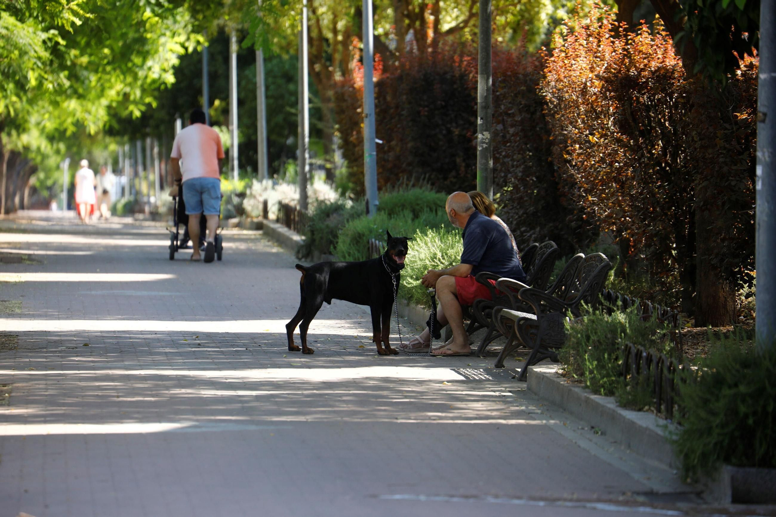 Un domingo de agosto en el barrio cordobés de Santuario, en imágenes