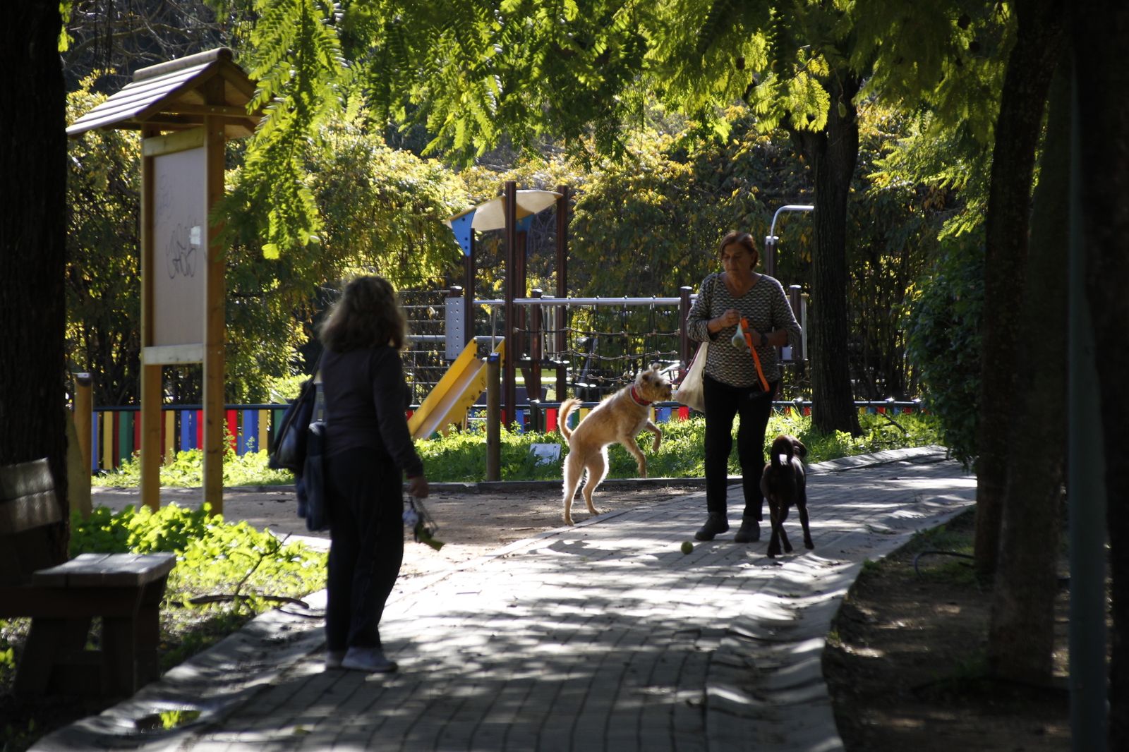 Imágenes del viernes 1 de diciembre