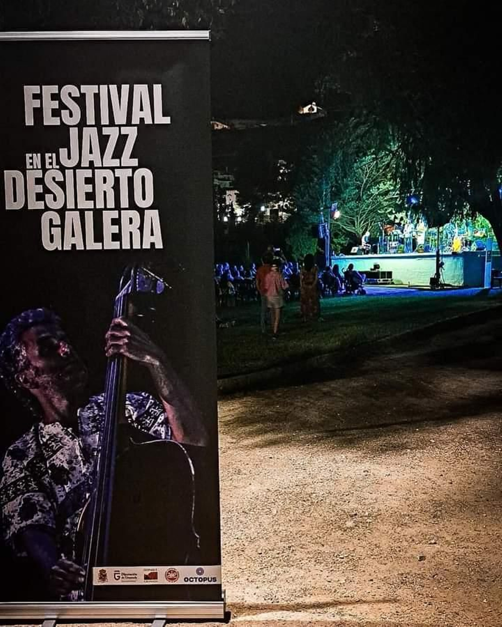 Concierto de Miguel de Gemma con el cartel del festival.