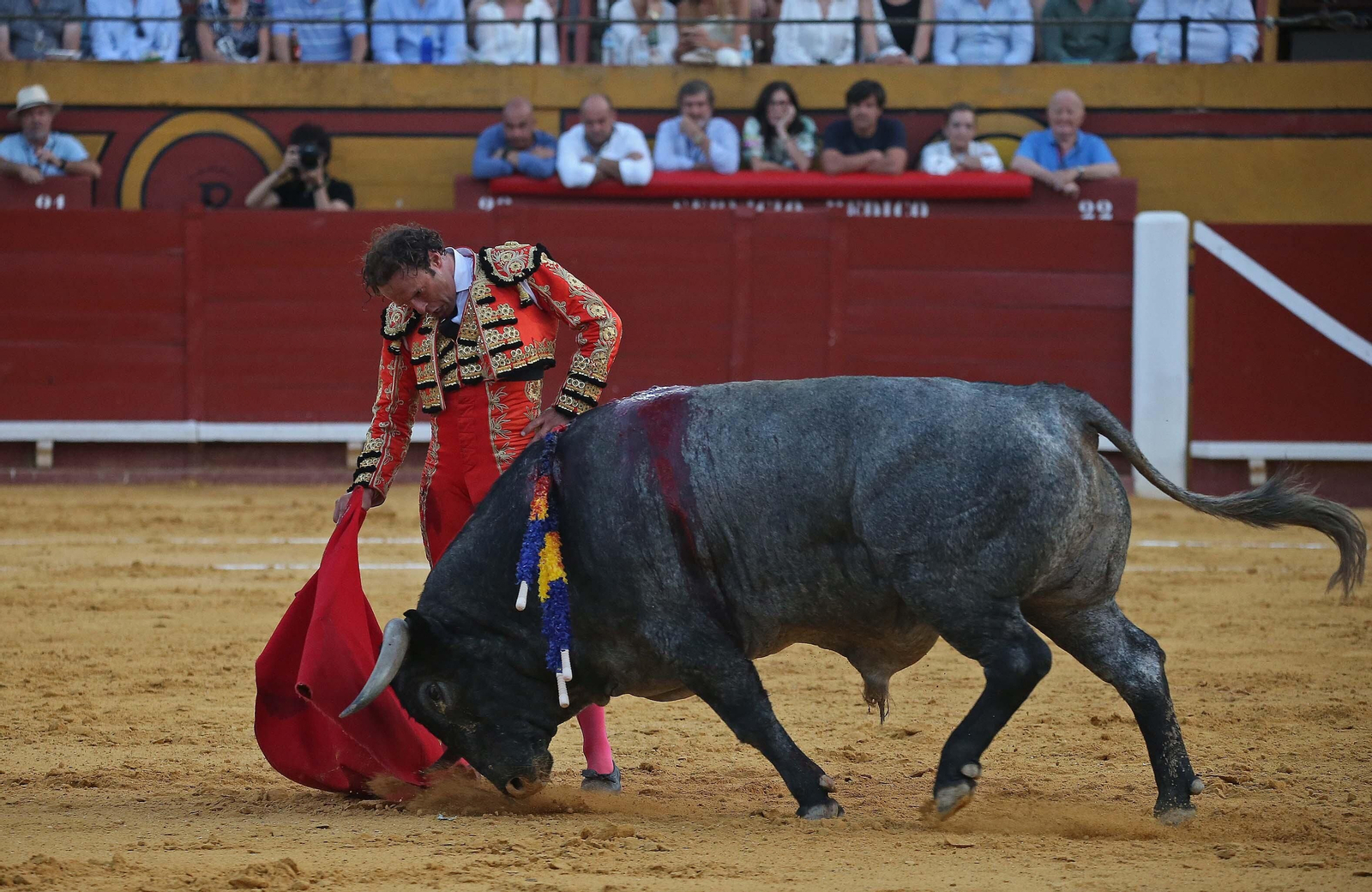 Fotos de la corrida del sábado de la Feria Taurina de Algeciras 2023: Antonio Ferrera, Manuel Escribano y Miguel Ángel Pacheco