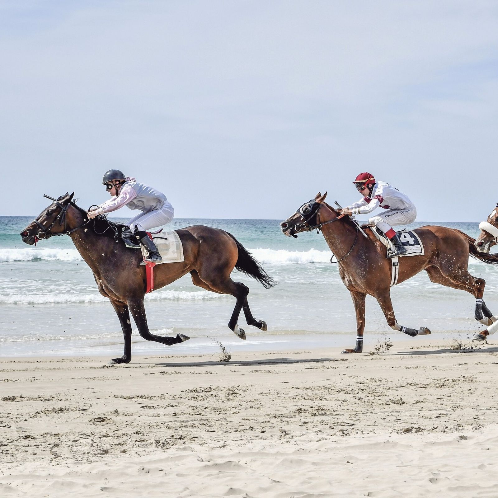 Carreras de caballos.