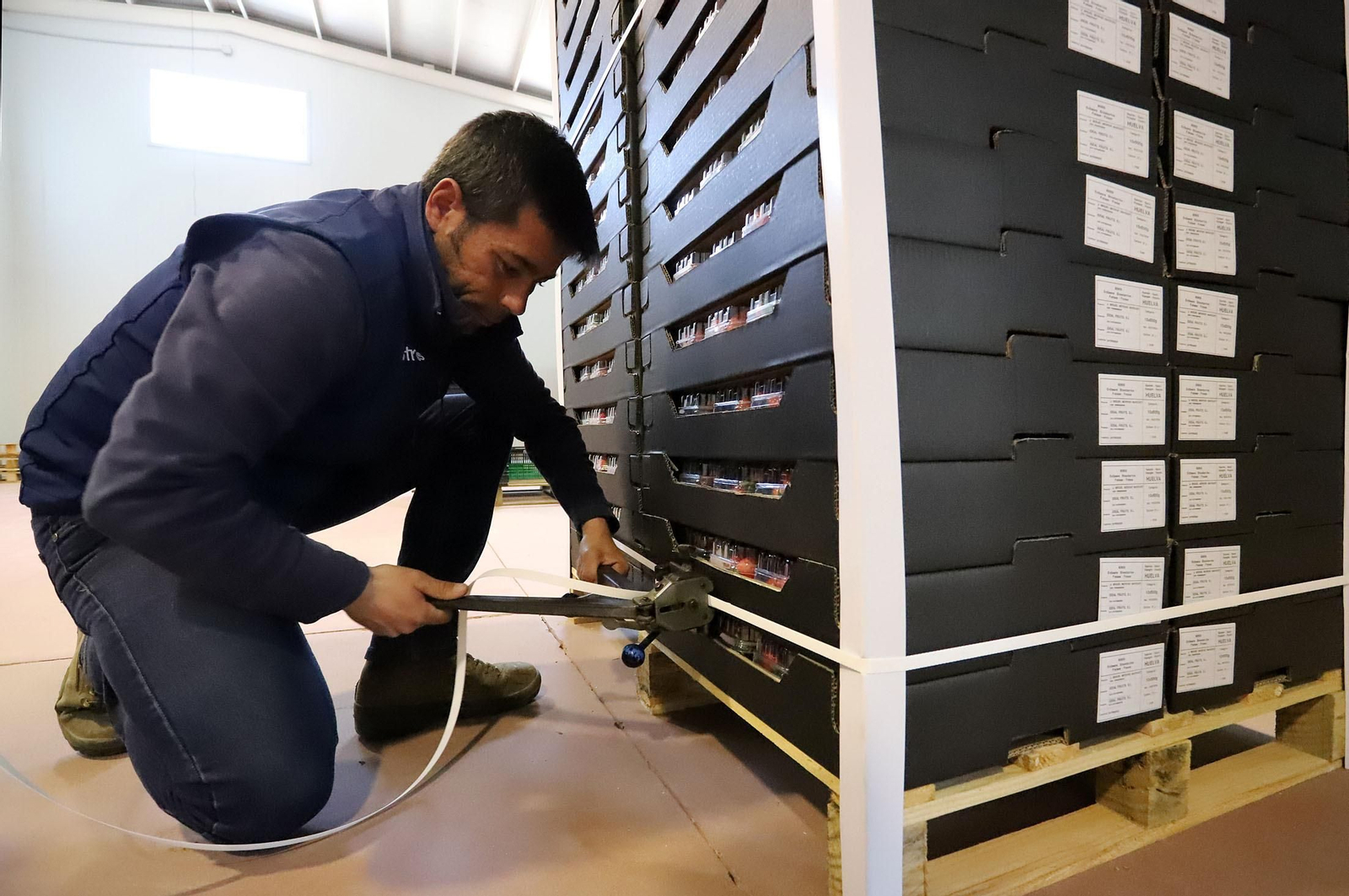 Imágenes de la realidad del trabajo en el campo