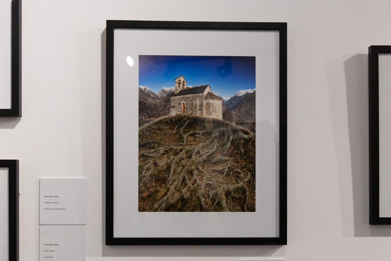 Exposición La Tierra, corazón de la vida, en imágenes