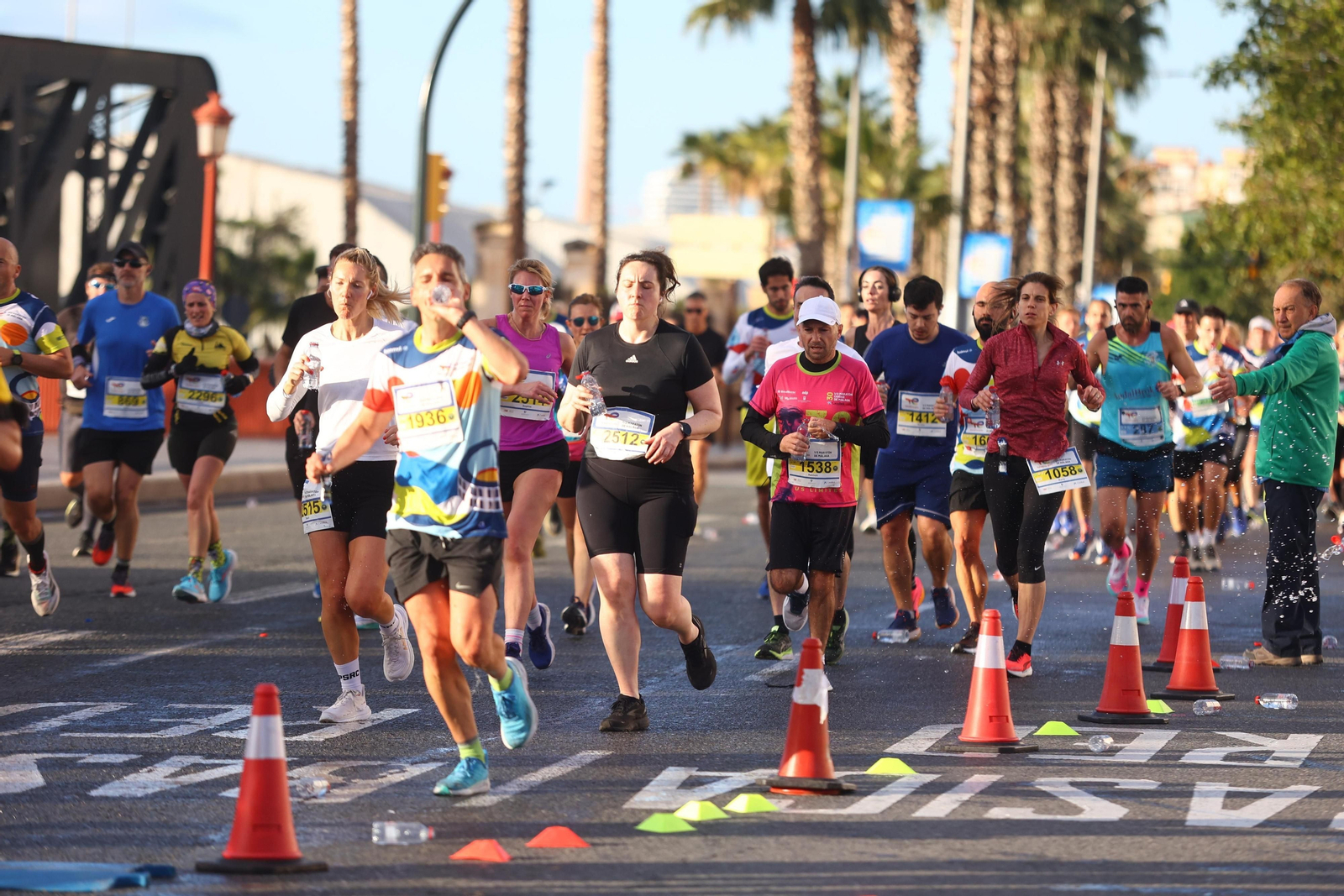 Las mejores fotos de la Media Maratón de Málaga 2024 Las mejores fotos de la Media Maratón de Málaga 2024