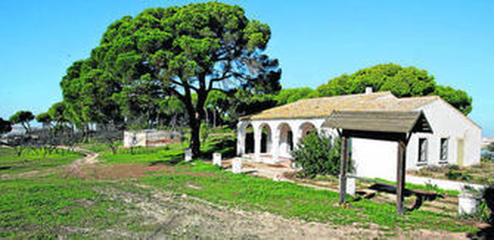El pino de Platero está situado en el lateral de la finca, una casa tapiada para evitar la entrada a los 'okupas'.