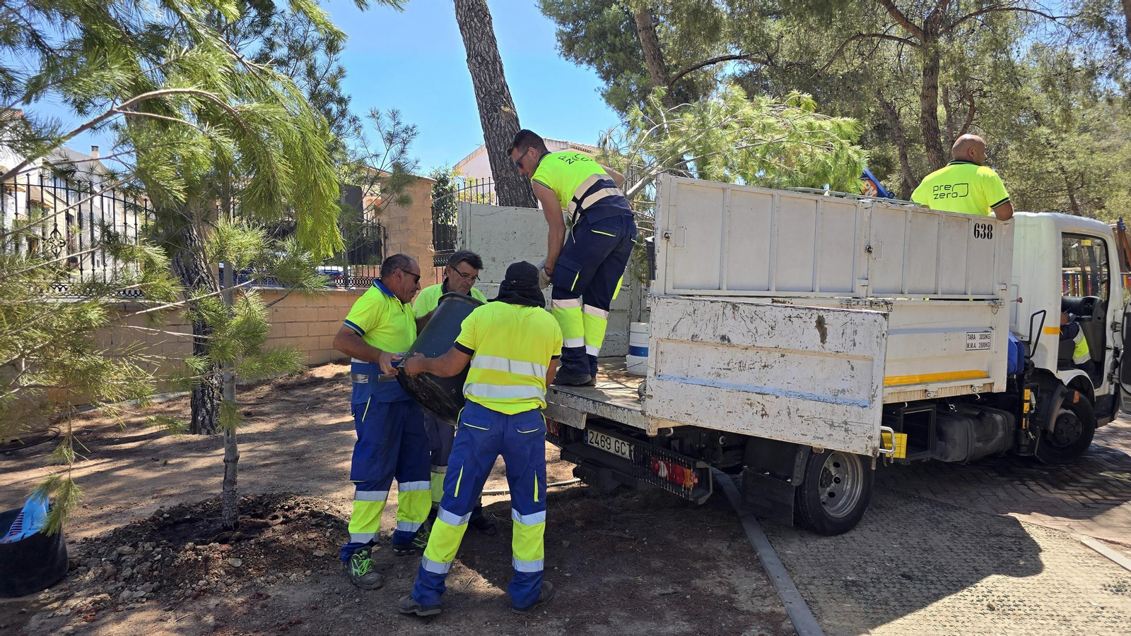 Reforestación parque de Los Pinos-