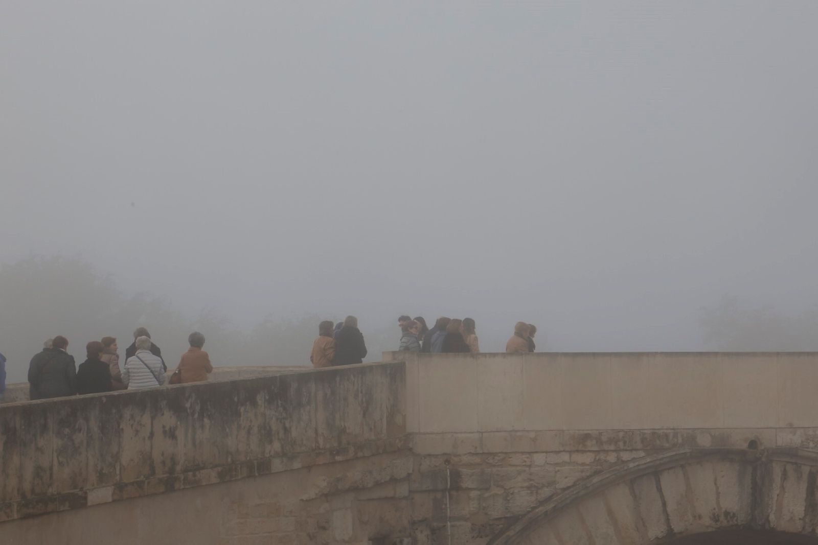 Córdoba comienza la semana cubierta de niebla, en imágenes
