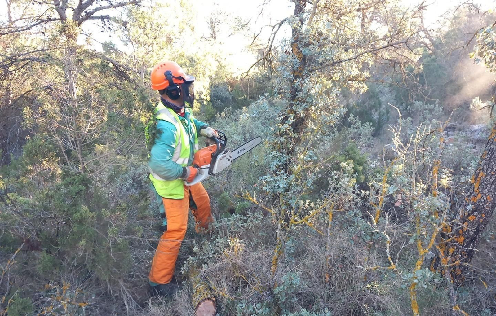 La Junta Rectora ha hecho balance de la situación actual del Parque Natural. La Junta Rectora ha hecho balance de la situación actual del Parque Natural.