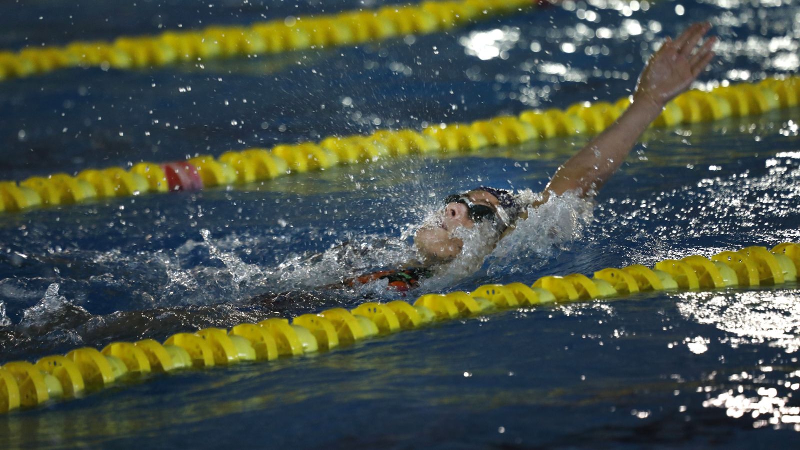 Las fotos del torneo de natación en Los Barrios