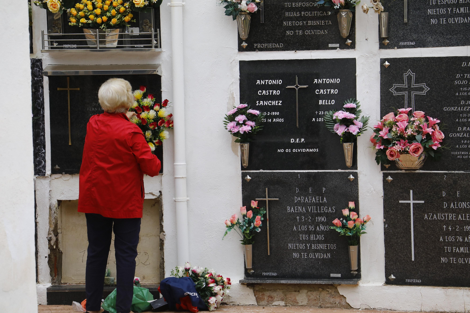 Las imágenes de los preparativos de los cementerios de Córdoba por el día de Todos los Santos
