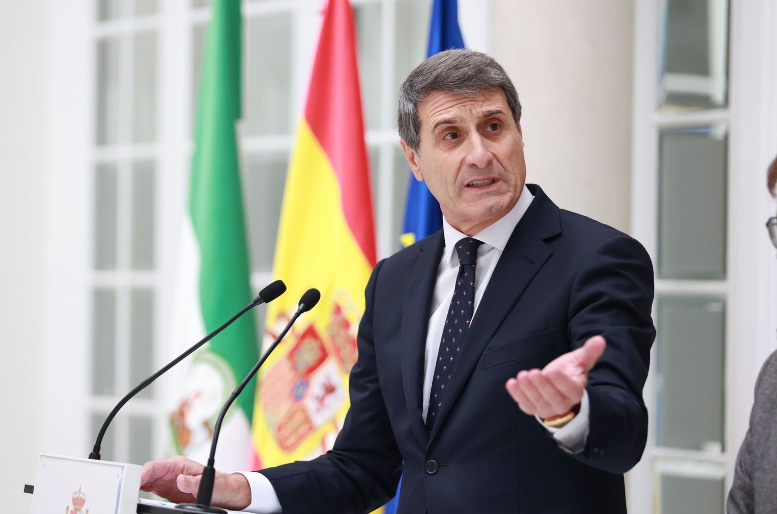 El delegado del Gobierno en Andalucía, Pedro Fernández. (16456935)